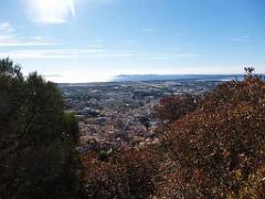 183 HYERES ET SES PALMIERS D03_000034